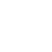 Copy Icon